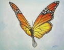 Butterfly%20Study%20I (thumbnail)