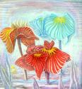Wild Iris Wild%20Iris (thumbnail)