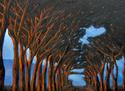 Tree Row Tree%20Row (thumbnail)