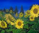 Sun Flower Study I Sun%20Flower%20Study%20I (thumbnail)