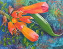 Trumpet Vine