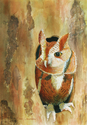 Screech Owl