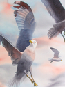 In Flight
