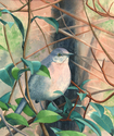 Mockingbird