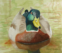 Mallard