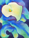 Calla Lily