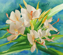 Ginger Lilies
