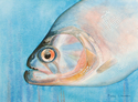 Piranha