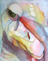 Eye to Eye II