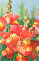 Snapdragons