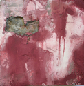 Rosa (thumbnail)