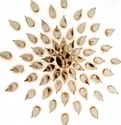 Detail - Burn Image