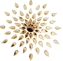 Detail - Burn Image