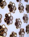 Burn Image - detail