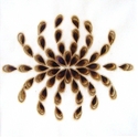 Burn Image