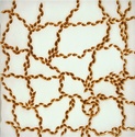 Burn Image