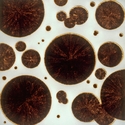 Burn Image