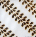 Burn Image
