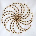 Burn Image