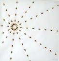 Burn Image
