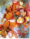 Orange Flowers