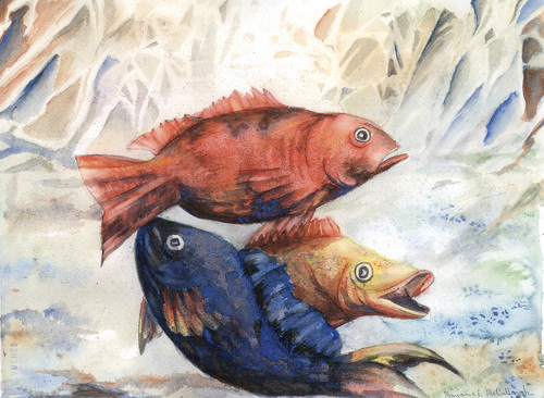 Painting-Watercolor-Fish