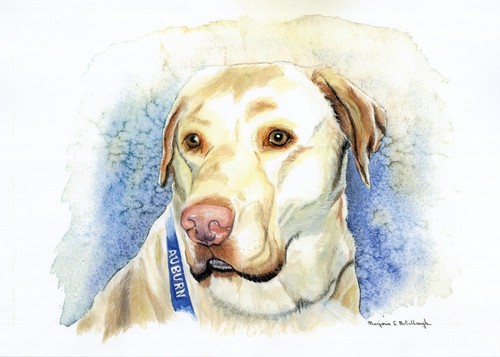 Painting-Buddy