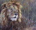 Royal Repose