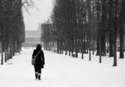 Tuileries III