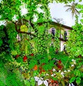 Painting--Oil-LandscapeSouth Garden, Hemingway Home, Key West