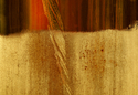 Photography--Color-AbstractBB 3