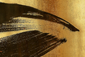 Photography--Color-AbstractBB 6