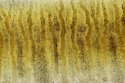 Photography--Color-AbstractBB 8