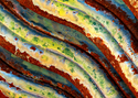 Photography--Color-AbstractRNS 4