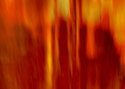 Photography--Color-AbstractRNS 6