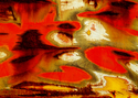 Photography--Color-AbstractRNS 8