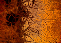 Photography--Color-AbstractRNS 14
