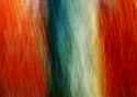 Photography--Color-AbstractWW 5