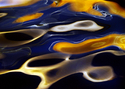 Photography--Color-AbstractWW 8