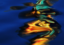 Photography--Color-AbstractWW 11