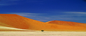 Photography--Color-LandscapeLand 2