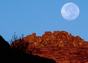 Photography--Color-LandscapeLand 8