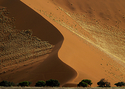 Photography--Color-LandscapeLand 9