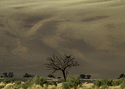 Photography--Color-LandscapeLand 10