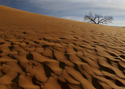 Photography--Color-LandscapeLand 11