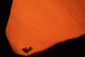 Photography--Color-LandscapeLand 14