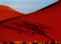 Photography--Color-LandscapeLand 15