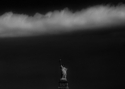 Photography-NYC 6 B&W  