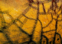 Photography--Color-AbstractRNS 16