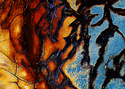 Photography--Color-AbstractRNS 17
